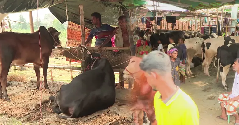 গরু-মহিষের হাট